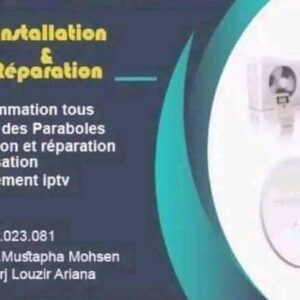 professionnel