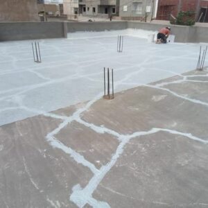 professionnel