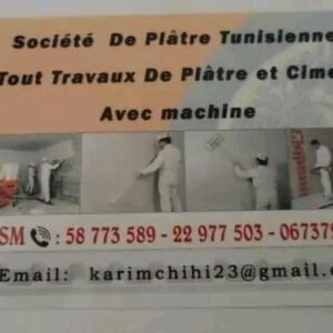 professionnel