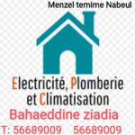 Bahaeddine ziadia