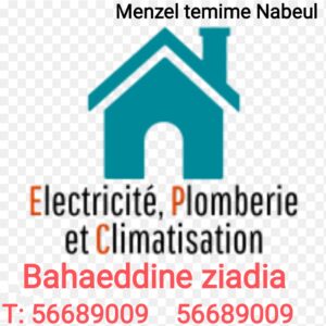 professionnel