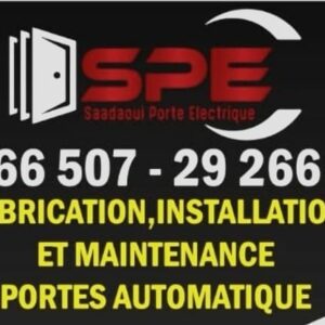 professionnel