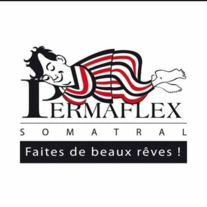 professionnel