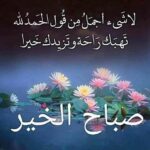 Ichaoui Mohamed