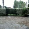 Service de jardinage