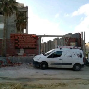 professionnel