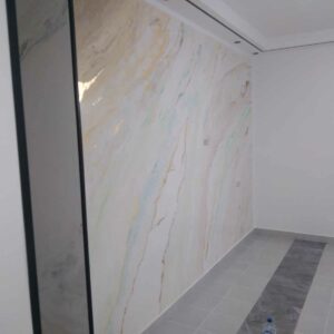 professionnel